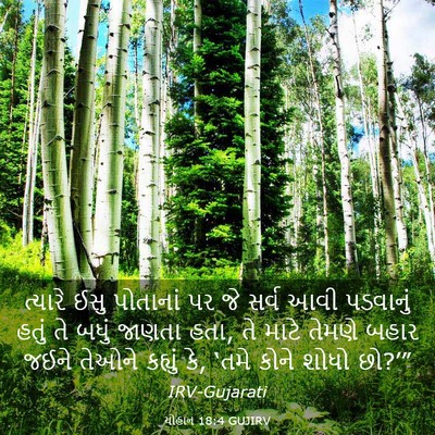 Picture 03 - યોહાન 18:4 GUJIRV - ત્યારે ઈસુ - Bible Verse Picture