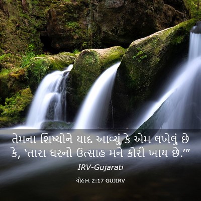 Picture 03 - યોહાન 2:17 GUJIRV - તેમના શિષ્યોને - Bible Verse Picture