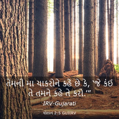 Picture 03 - યોહાન 2:5 GUJIRV - તેમની મા ચાકરોને - Bible Verse Picture