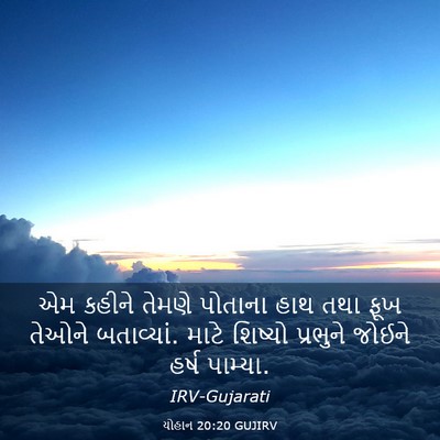 Picture 03 - યોહાન 20:20 GUJIRV - એમ કહીને તેમણે - Bible Verse Picture