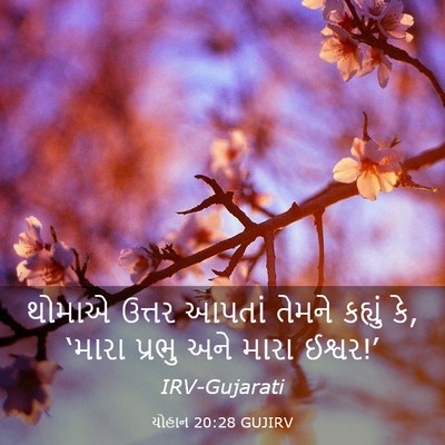 Picture 03 - યોહાન 20:28 GUJIRV - થોમાએ ઉત્તર આપતાં - Bible Verse Picture