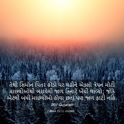 Picture 03 - યોહાન 21:11 GUJIRV - તેથી સિમોન પિતર - Bible Verse Picture