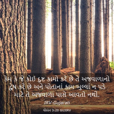 Picture 03 - યોહાન 3:20 GUJIRV - કેમ કે જે કોઈ દુષ્ટ - Bible Verse Picture