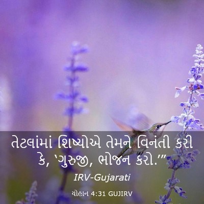 Picture 03 - યોહાન 4:31 GUJIRV - તેટલાંમાં શિષ્યોએ - Bible Verse Picture