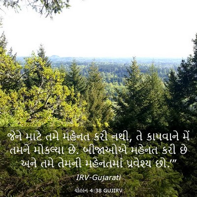 Picture 03 - યોહાન 4:38 GUJIRV - જેને માટે તમે - Bible Verse Picture