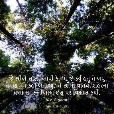 Picture 03 - યોહાન 4:39 GUJIRV - જે સ્ત્રીએ સાક્ષી - Bible Verse Picture