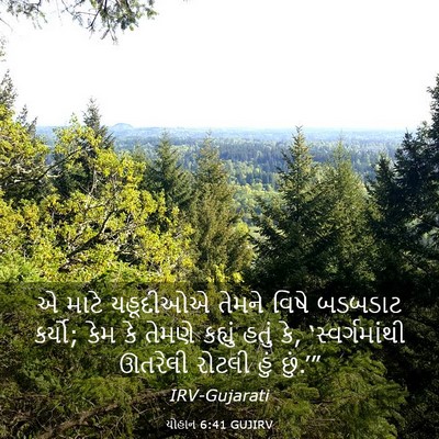 Picture 03 - યોહાન 6:41 GUJIRV - એ માટે યહૂદીઓએ - Bible Verse Picture