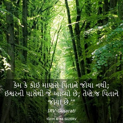 Picture 03 - યોહાન 6:46 GUJIRV - કેમ કે કોઈ માણસે - Bible Verse Picture