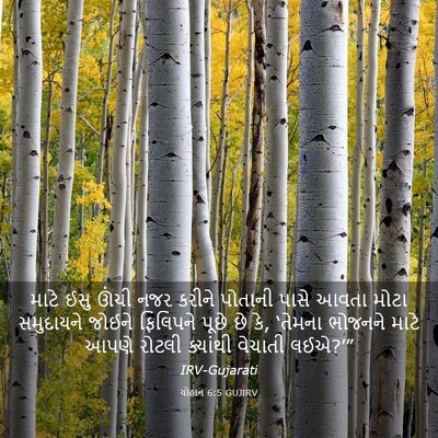 Picture 03 - યોહાન 6:5 GUJIRV - માટે ઈસુ ઊંચી નજર - Bible Verse Picture