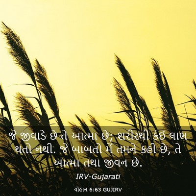 Picture 03 - યોહાન 6:63 GUJIRV - જે જીવાડે છે તે - Bible Verse Picture