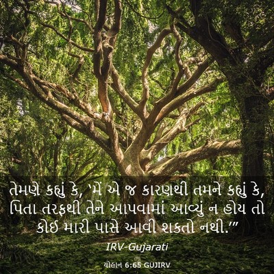 Picture 03 - યોહાન 6:65 GUJIRV - તેમણે કહ્યું કે, - Bible Verse Picture
