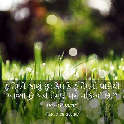 Picture 03 - યોહાન 7:29 GUJIRV - હું તેમને જાણું - Bible Verse Picture