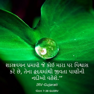 Picture 03 - યોહાન 7:38 GUJIRV - શાસ્ત્રવચન - Bible Verse Picture