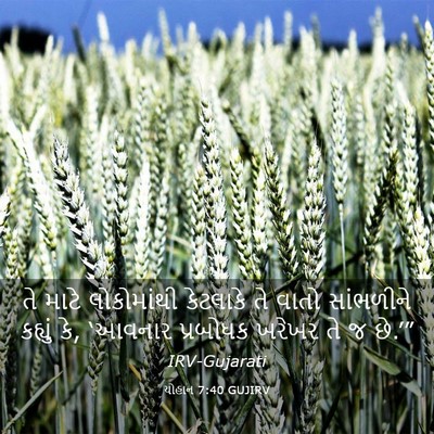 Picture 03 - યોહાન 7:40 GUJIRV - તે માટે લોકોમાંથી - Bible Verse Picture