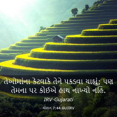 Picture 03 - યોહાન 7:44 GUJIRV - તેઓમાંના કેટલાકે - Bible Verse Picture