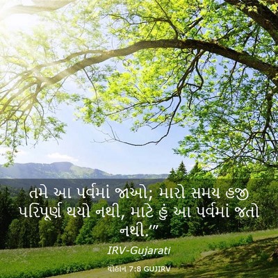 Picture 03 - યોહાન 7:8 GUJIRV - તમે આ પર્વમાં જાઓ; - Bible Verse Picture