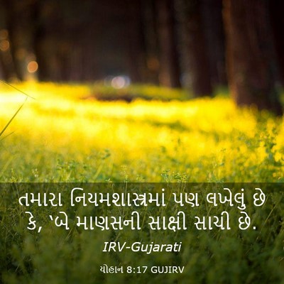 Picture 03 - યોહાન 8:17 GUJIRV - તમારા - Bible Verse Picture