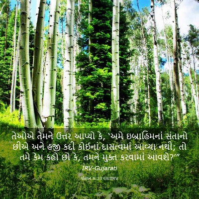 Picture 03 - યોહાન 8:33 GUJIRV - તેઓએ તેમને ઉત્તર - Bible Verse Picture