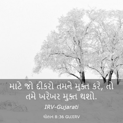 Picture 03 - યોહાન 8:36 GUJIRV - માટે જો દીકરો તમને - Bible Verse Picture