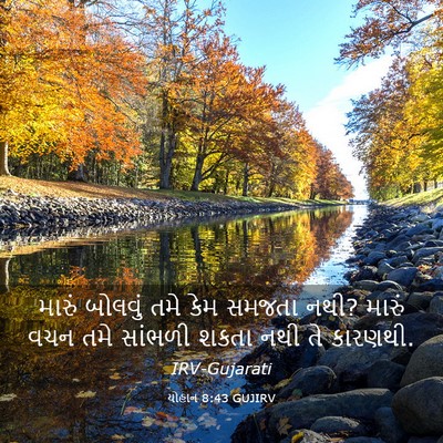 Picture 03 - યોહાન 8:43 GUJIRV - મારું બોલવું તમે - Bible Verse Picture