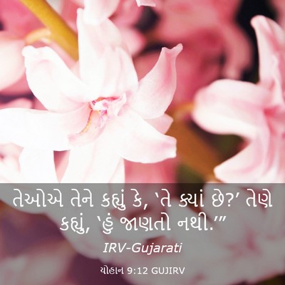 Picture 03 - યોહાન 9:12 GUJIRV - તેઓએ તેને કહ્યું - Bible Verse Picture