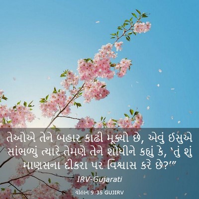 Picture 03 - યોહાન 9:35 GUJIRV - તેઓએ તેને બહાર - Bible Verse Picture
