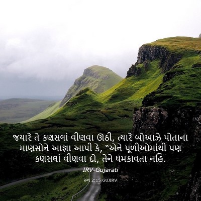 Picture 03 - રૂથ 2:15 GUJIRV - જયારે તે કણસલાં - Bible Verse Picture