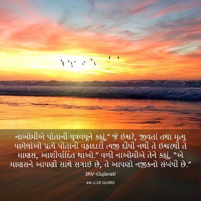 Picture 03 - રૂથ 2:20 GUJIRV - નાઓમીએ પોતાની - Bible Verse Picture