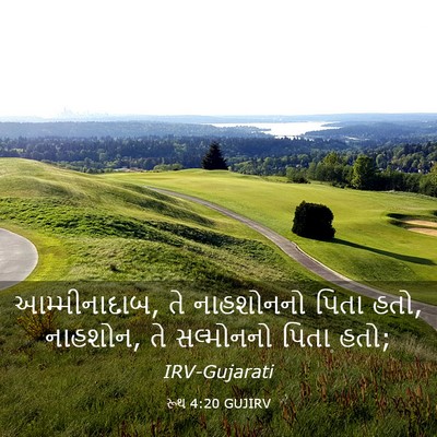 Picture 03 - રૂથ 4:20 GUJIRV - આમ્મીનાદાબ, તે - Bible Verse Picture