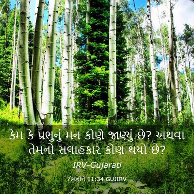 Picture 03 - રોમનોને 11:34 GUJIRV - કેમ કે પ્રભુનું મન - Bible Verse Picture