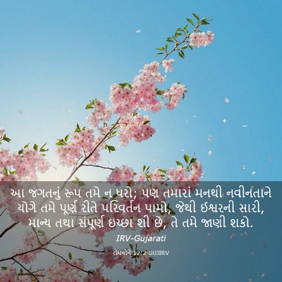 Picture 03 - રોમનોને 12:2 GUJIRV - આ જગતનું રૂપ તમે ન - Bible Verse Picture