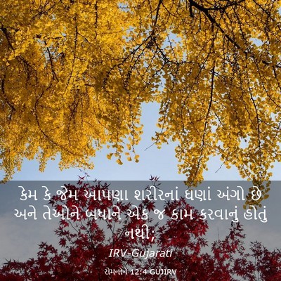 Picture 03 - રોમનોને 12:4 GUJIRV - કેમ કે જેમ આપણા - Bible Verse Picture