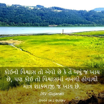 Picture 03 - રોમનોને 14:2 GUJIRV - કોઈનો વિશ્વાસ તો - Bible Verse Picture