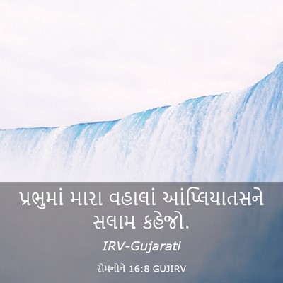 Picture 03 - રોમનોને 16:8 GUJIRV - પ્રભુમાં મારા - Bible Verse Picture