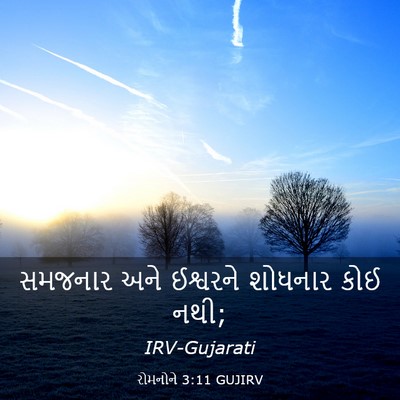 Picture 03 - રોમનોને 3:11 GUJIRV - સમજનાર અને - Bible Verse Picture