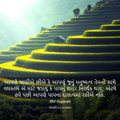 Picture 03 - રોમનોને 6:6 GUJIRV - આપણે જાણીએ છીએ કે - Bible Verse Picture