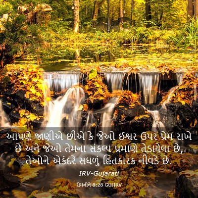 Picture 03 - રોમનોને 8:28 GUJIRV - આપણે જાણીએ છીએ કે - Bible Verse Picture