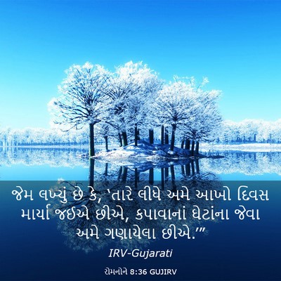 Picture 03 - રોમનોને 8:36 GUJIRV - જેમ લખ્યું છે કે, - Bible Verse Picture