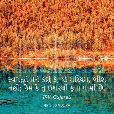 Picture 03 - લૂક 1:30 GUJIRV - સ્વર્ગદૂતે તેને - Bible Verse Picture