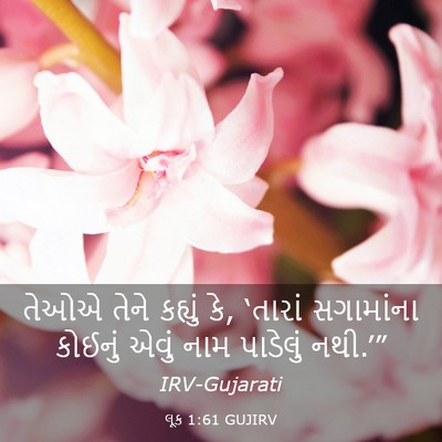 Picture 03 - લૂક 1:61 GUJIRV - તેઓએ તેને કહ્યું - Bible Verse Picture