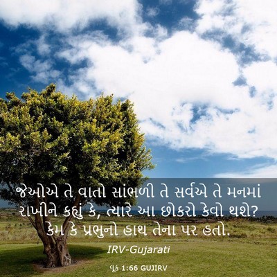 Picture 03 - લૂક 1:66 GUJIRV - જેઓએ તે વાતો - Bible Verse Picture