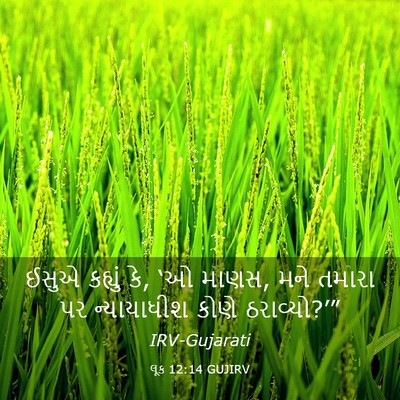 Picture 03 - લૂક 12:14 GUJIRV - ઈસુએ કહ્યું કે, ‘ઓ - Bible Verse Picture