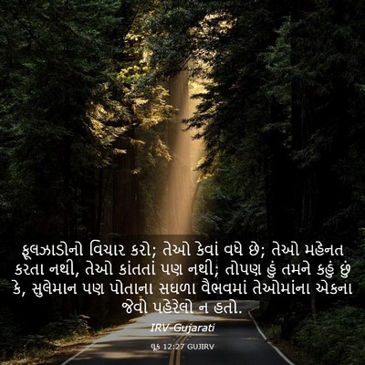 Picture 03 - લૂક 12:27 GUJIRV - ફૂલઝાડોનો વિચાર - Bible Verse Picture