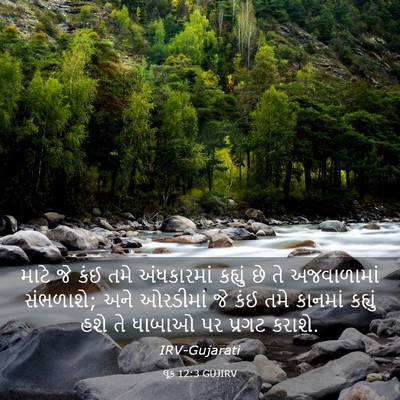 Picture 03 - લૂક 12:3 GUJIRV - માટે જે કંઈ તમે - Bible Verse Picture