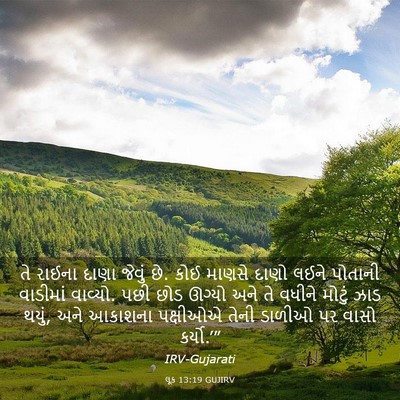 Picture 03 - લૂક 13:19 GUJIRV - તે રાઈના દાણા - Bible Verse Picture