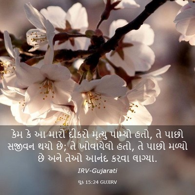 Picture 03 - લૂક 15:24 GUJIRV - કેમ કે આ મારો દીકરો - Bible Verse Picture