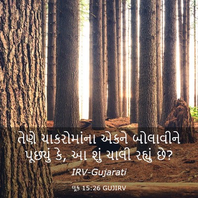 Picture 03 - લૂક 15:26 GUJIRV - તેણે ચાકરોમાંના - Bible Verse Picture
