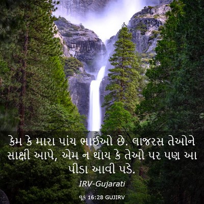 Picture 03 - લૂક 16:28 GUJIRV - કેમ કે મારા પાંચ - Bible Verse Picture