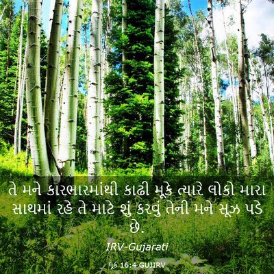 Picture 03 - લૂક 16:4 GUJIRV - તે મને - Bible Verse Picture