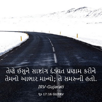 Picture 03 - લૂક 17:16 GUJIRV - તેણે ઈસુને - Bible Verse Picture